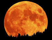 JoomlaWorks Simple Image Rotator JoomlaWorks Simple Image Rotator